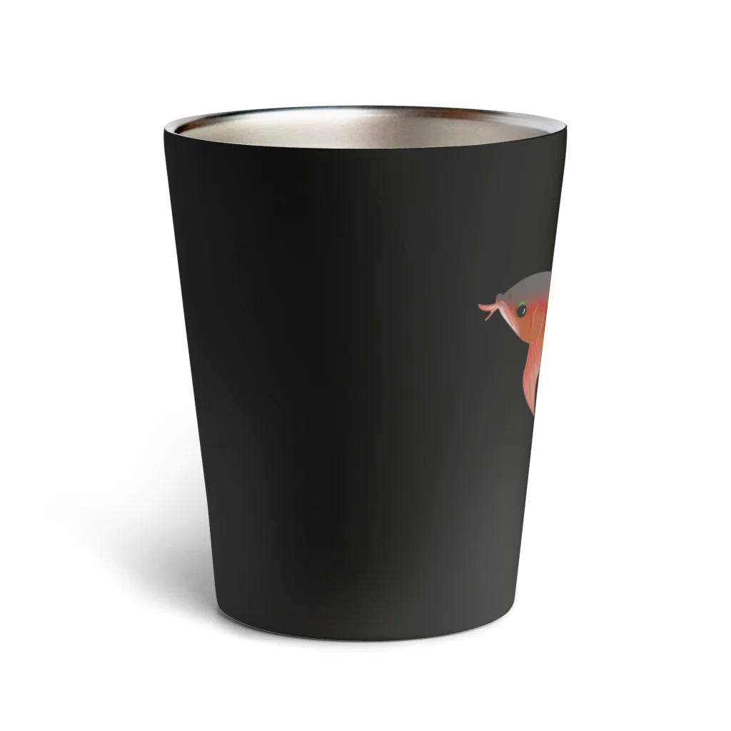 Maharaniのアジアアロワナ　スーパーレッド Thermo Tumbler