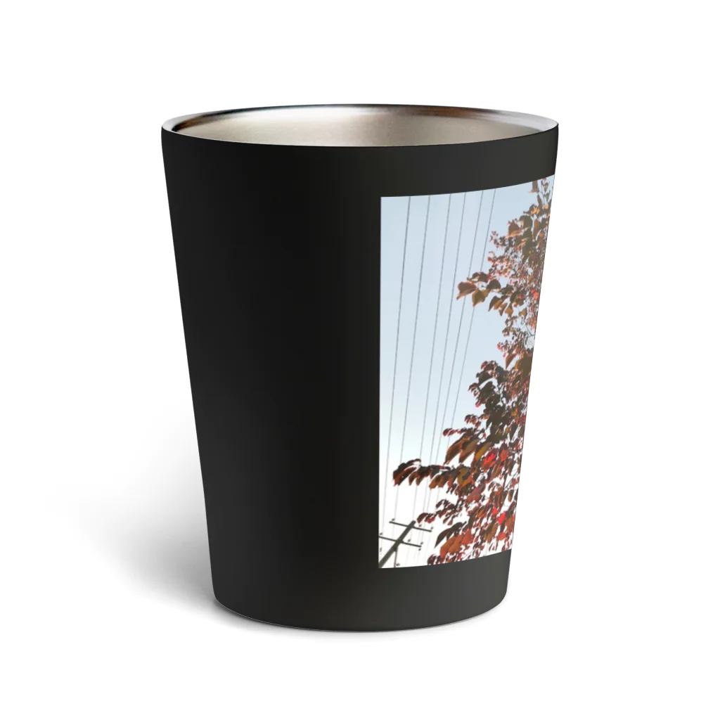 空屋　sorayakusakaの201910181619002　桜の紅葉 Thermo Tumbler