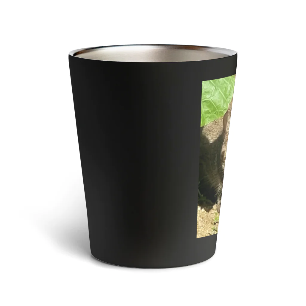 くまくま農園の野生の雉虎 Thermo Tumbler