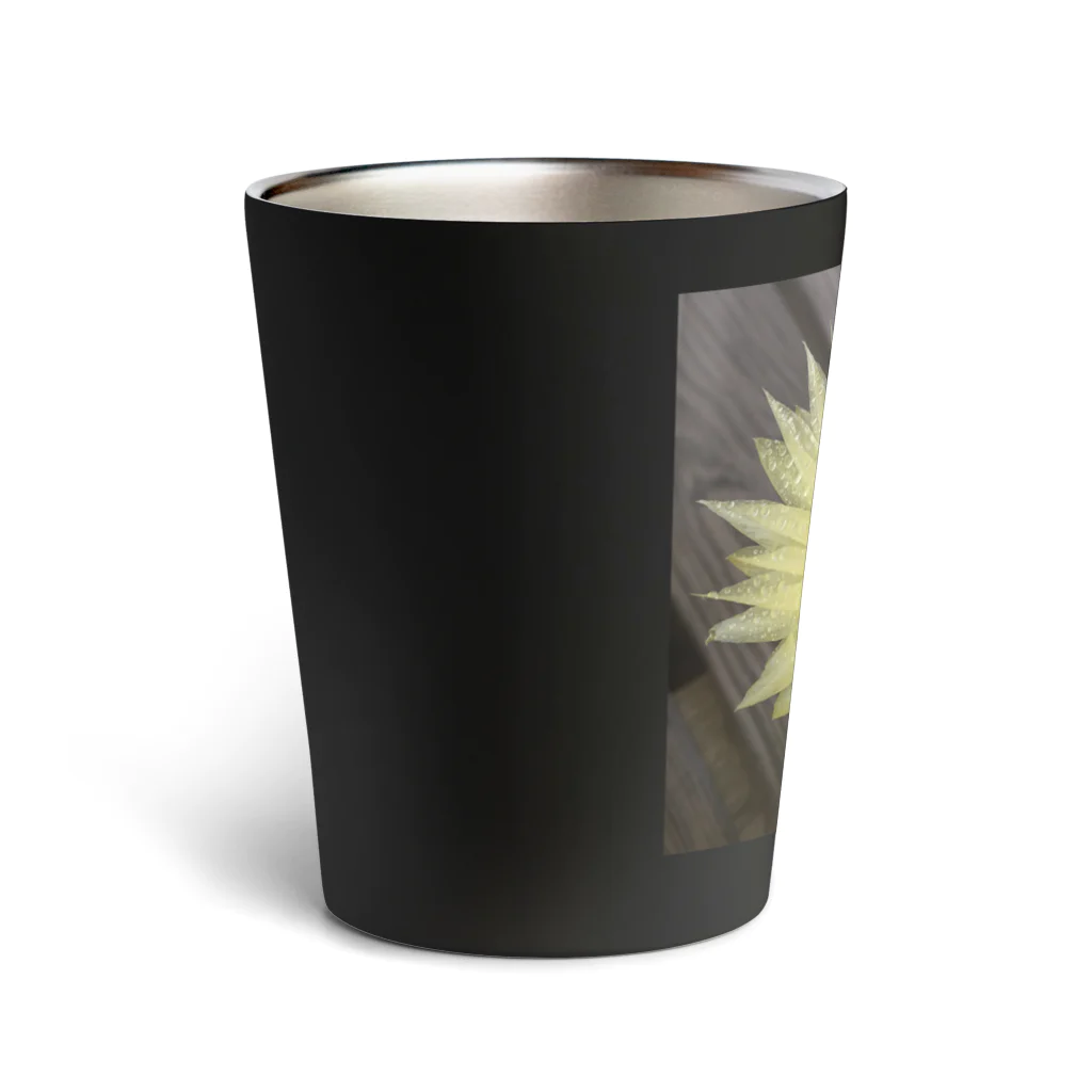 でおきしりぼ子の実験室のサボテンの花 Thermo Tumbler