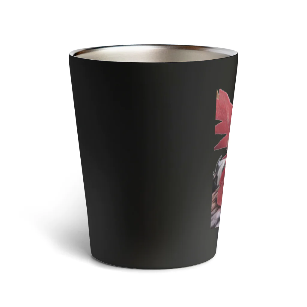 こっこスキーの考えるニワトリ Thermo Tumbler