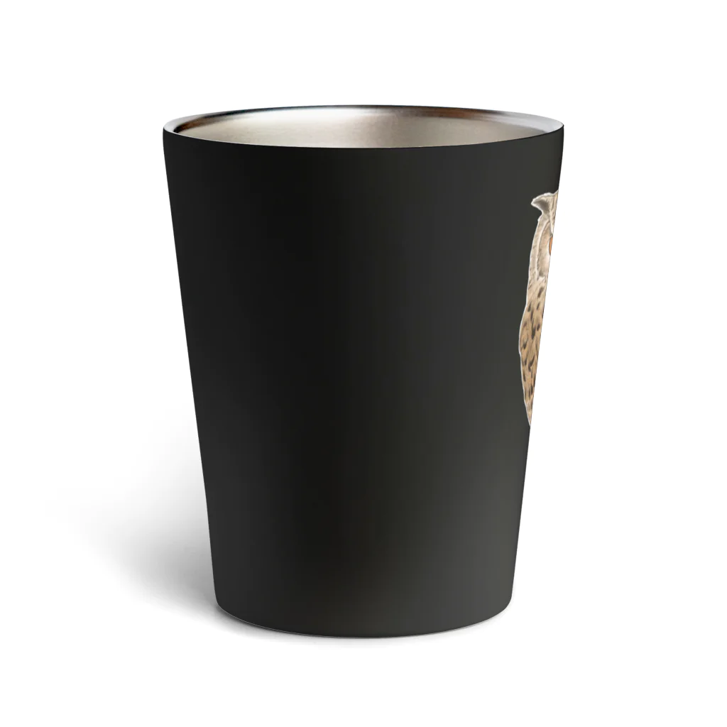 継続支援プラスタのベンガルワシミミズク　カラー Thermo Tumbler