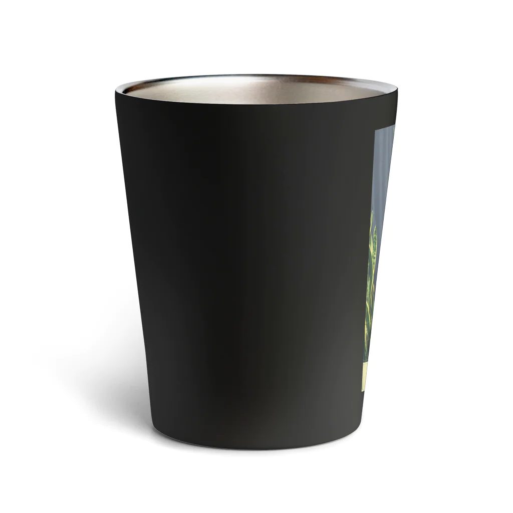 おぱんずのFIRE SAFETY Thermo Tumbler