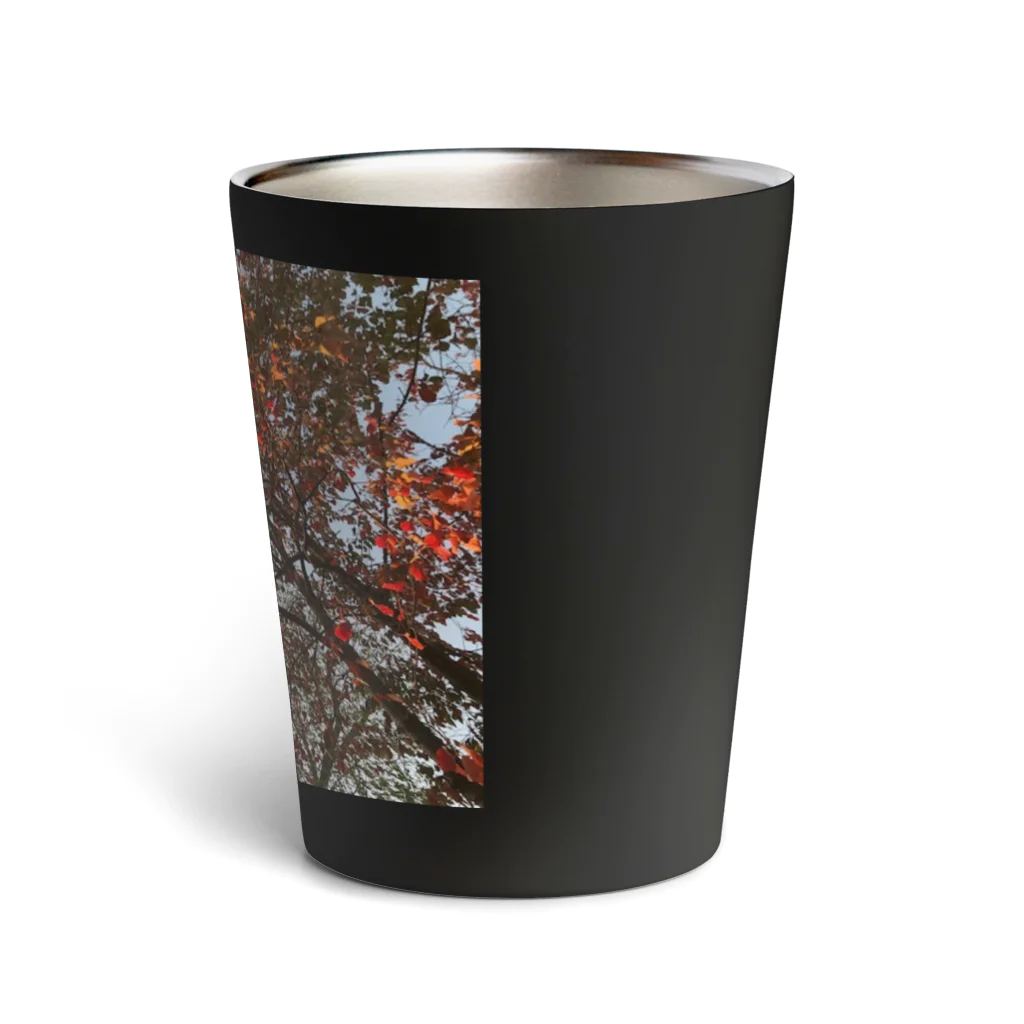 空屋　sorayakusakaの201910181619002　桜の紅葉 Thermo Tumbler