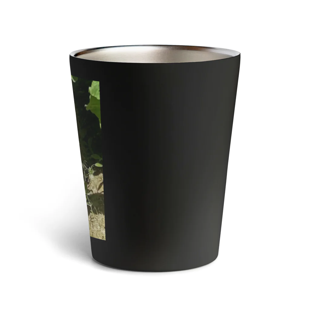 くまくま農園の野生の雉虎 Thermo Tumbler