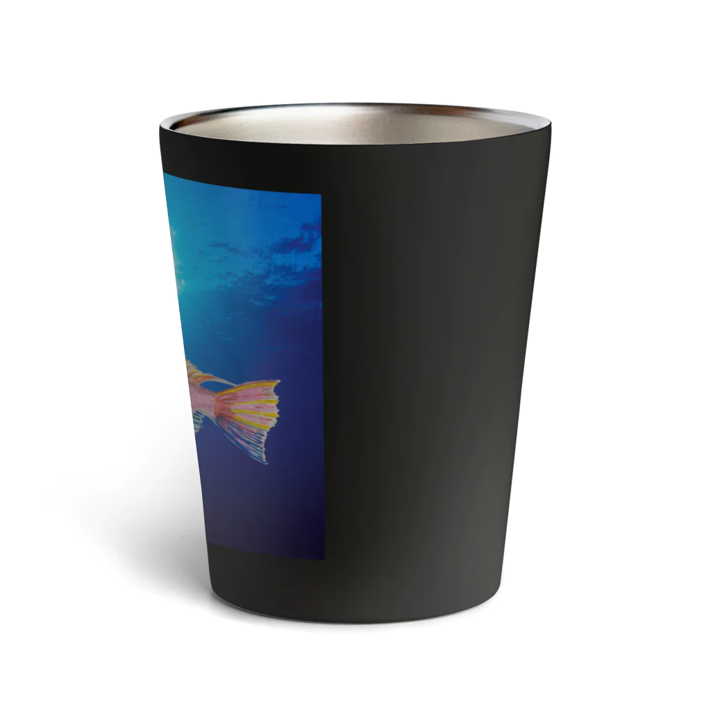 Coshi-Mild-Wildの甘鯛　C Thermo Tumbler