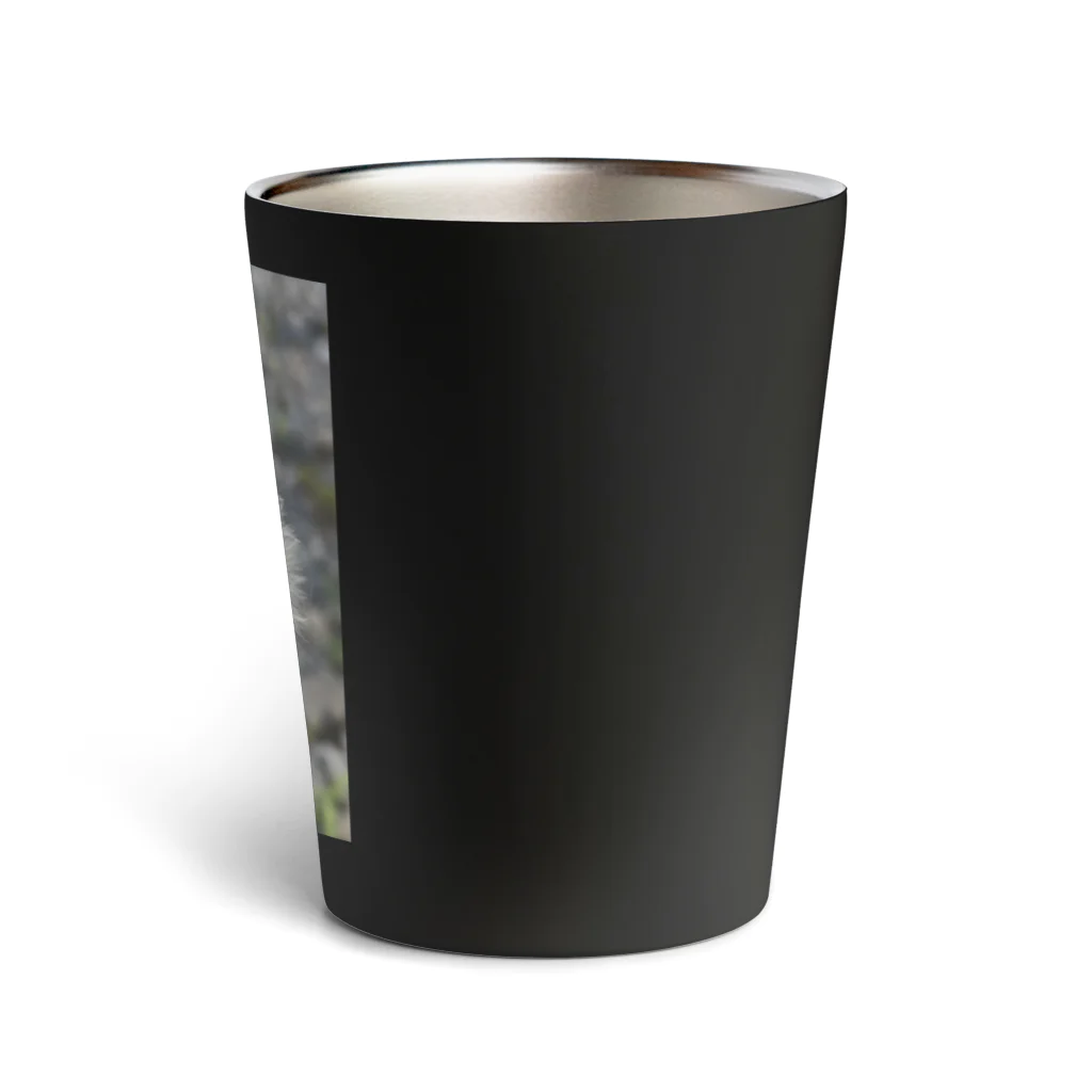 でおきしりぼ子の実験室のわたげのうたげ-縦 Thermo Tumbler