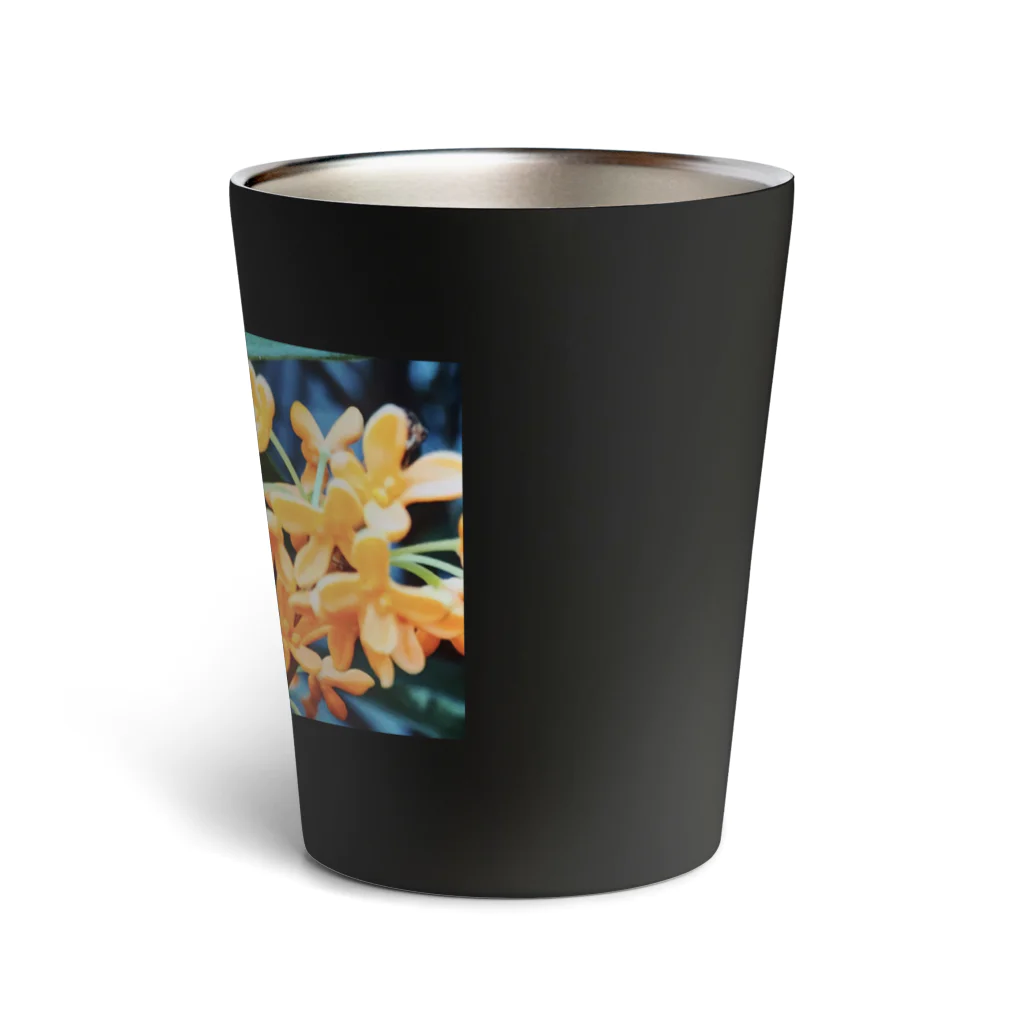 悠々の金木犀 Thermo Tumbler