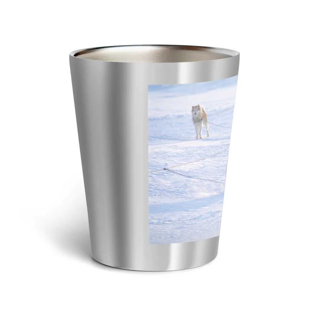 シロクマHUGのシロクマHUG Thermo Tumbler