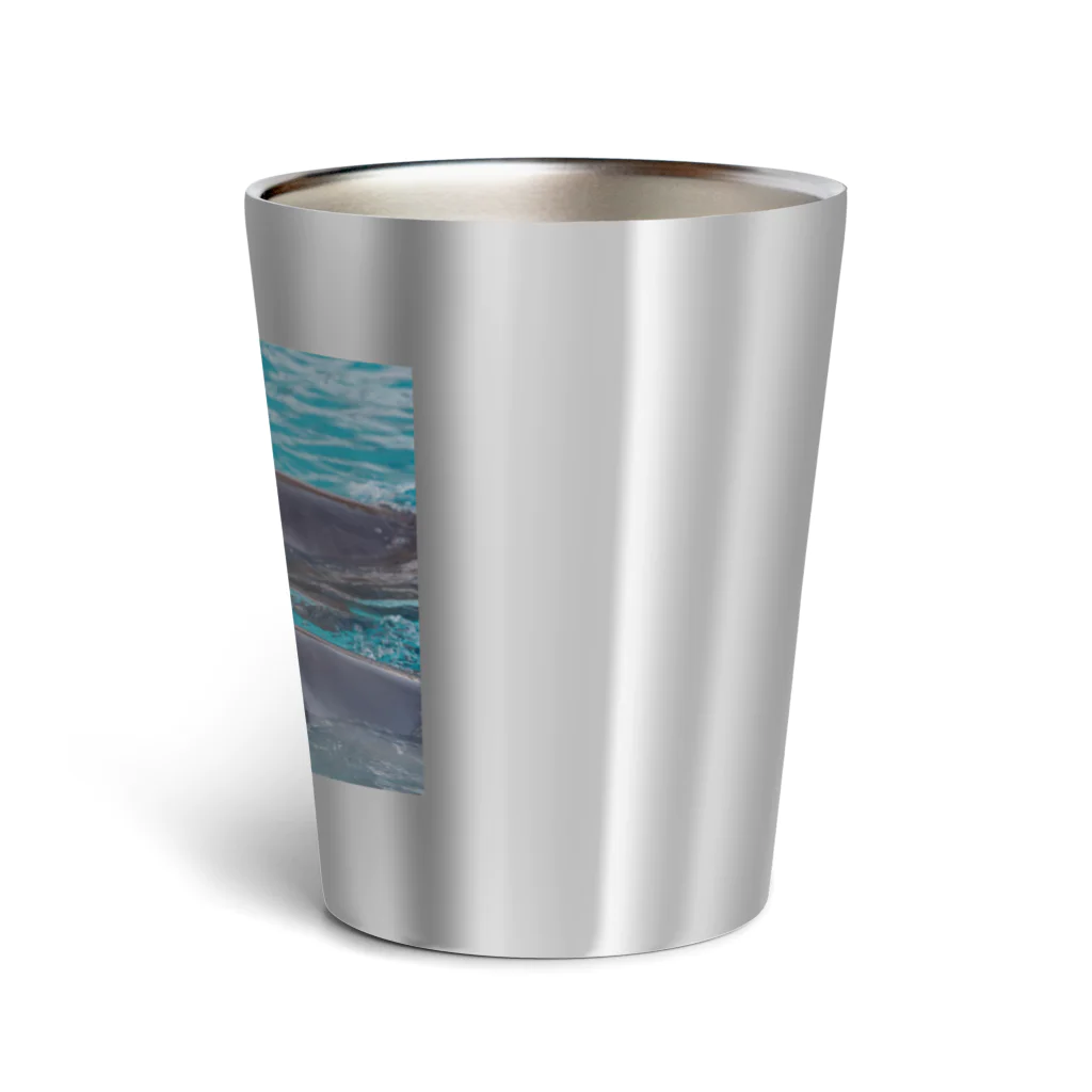 海のおみせのイルカ Thermo Tumbler