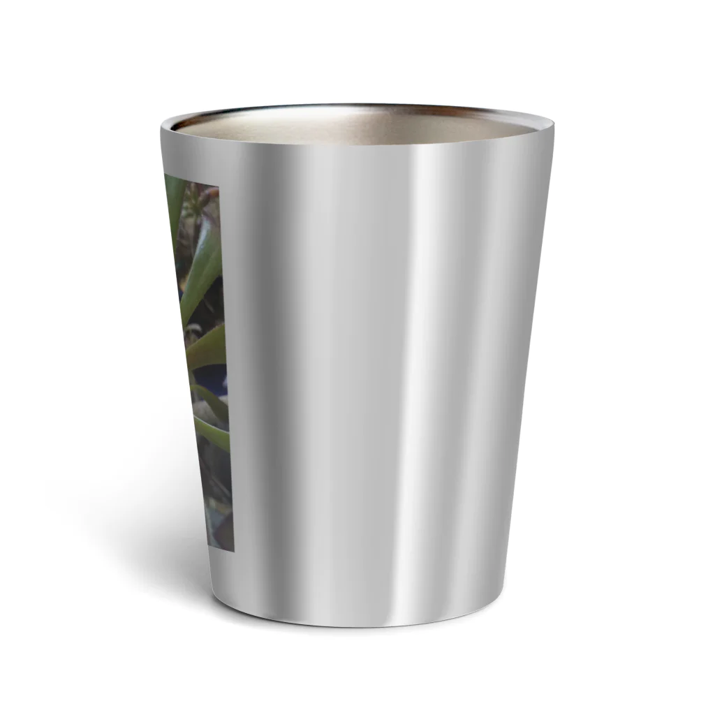 ミクロの多肉植物の黒法師 Thermo Tumbler