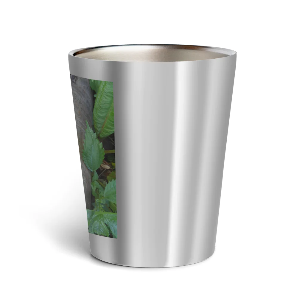 ミクロのルリボシカミキリくん Thermo Tumbler