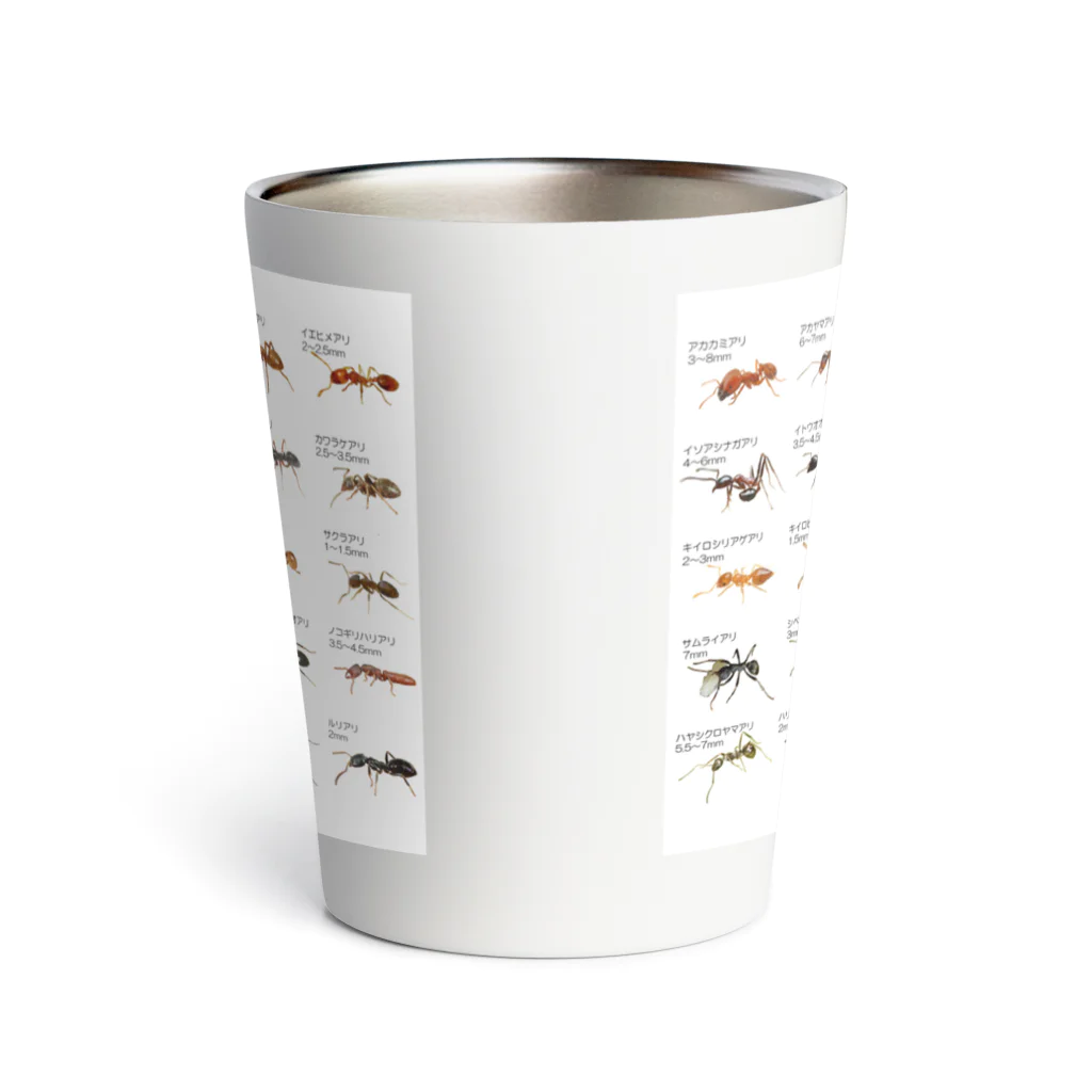 ANT☆Diaryの蟻図鑑C Thermo Tumbler