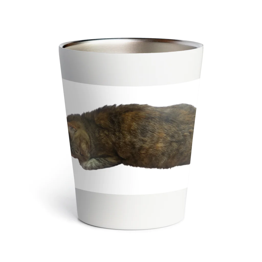 キジトラかもしれないのおねむ猫 Thermo Tumbler