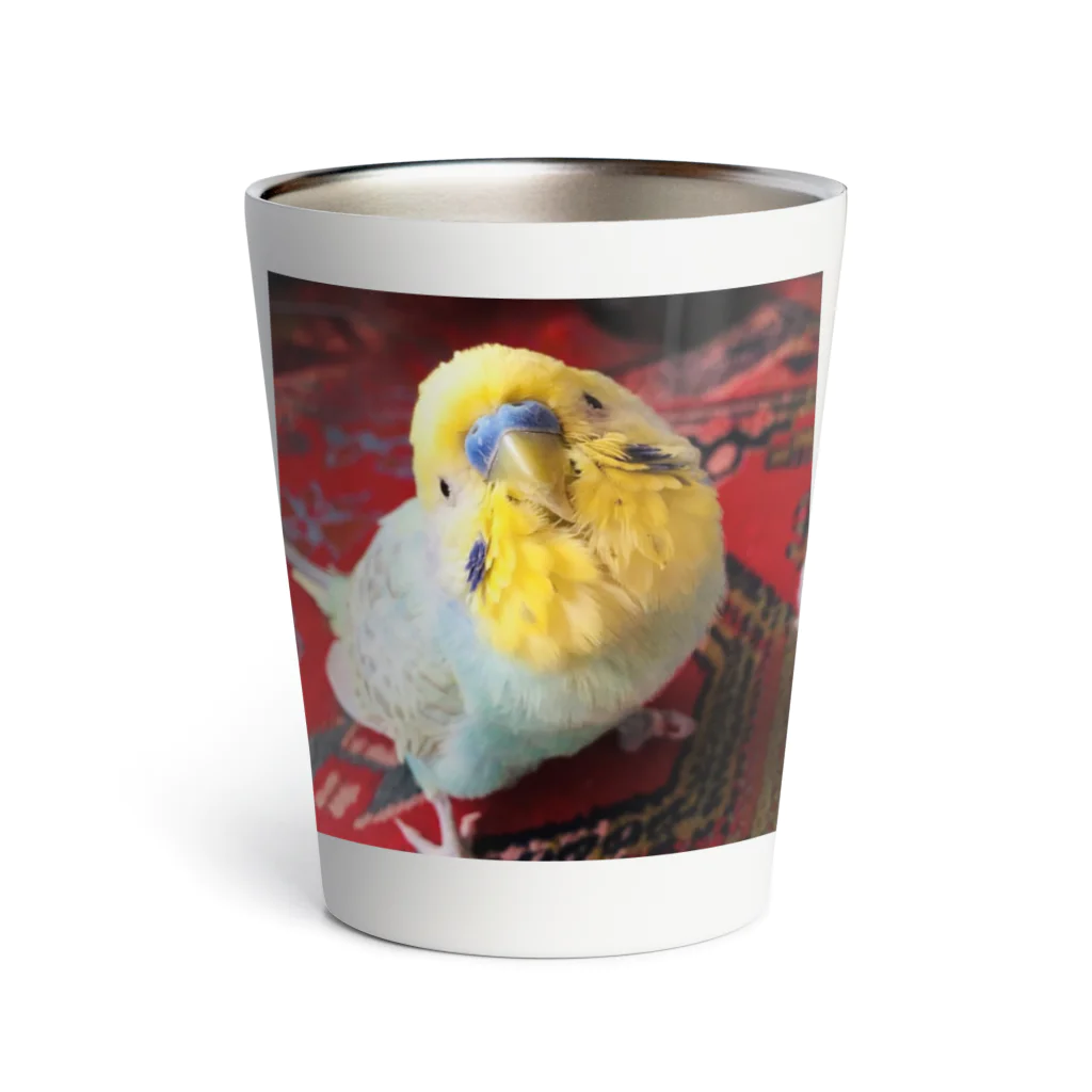 coo01のセキセイインコのBOちゃん Thermo Tumbler