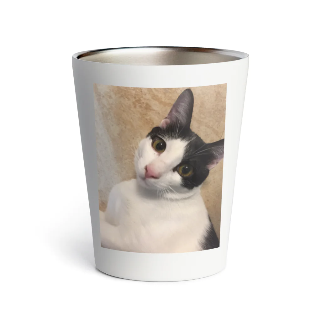 猫好きのネコ Thermo Tumbler