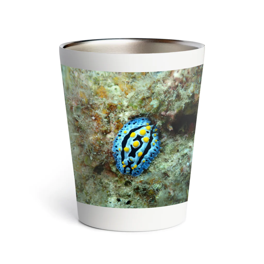 海の家のソライロイボウミウシ Phyllidia coelestis Thermo Tumbler