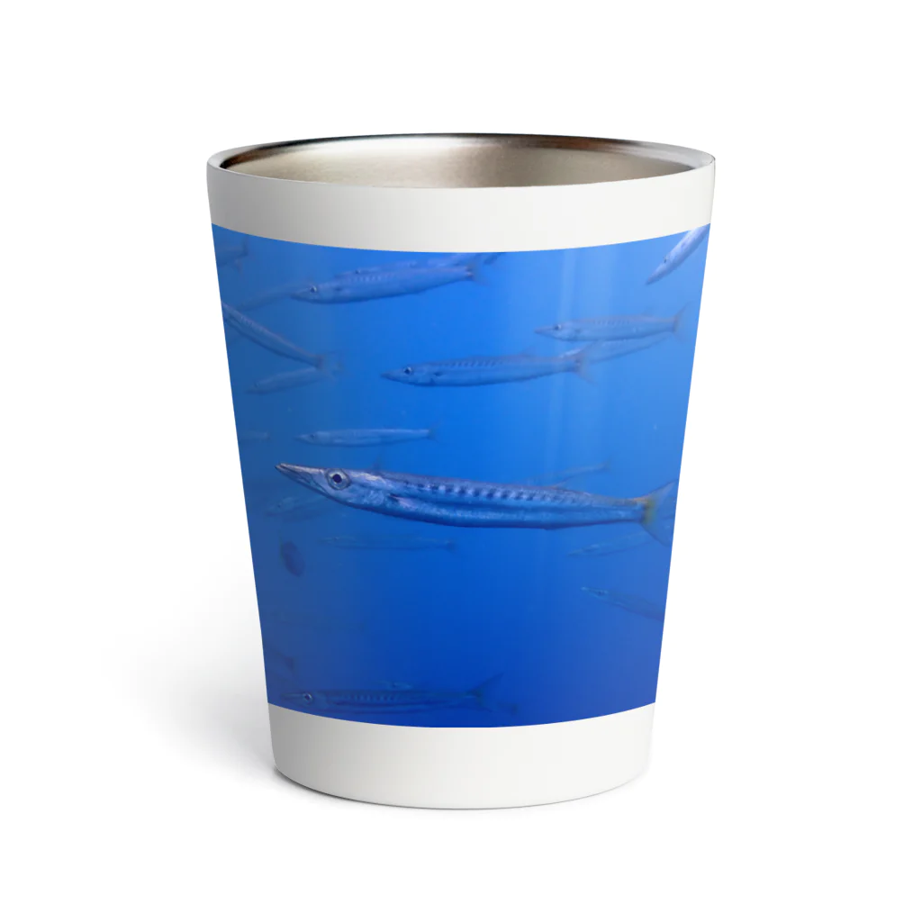 海の家のタイワンカマス Yellowtail barracuda Thermo Tumbler