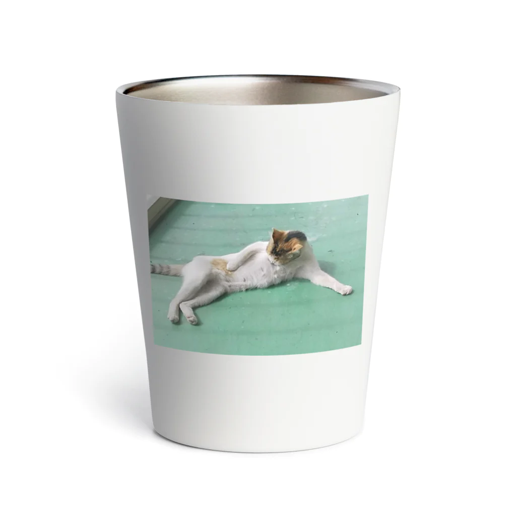 DancingStoneShopの野良猫たまりん Thermo Tumbler