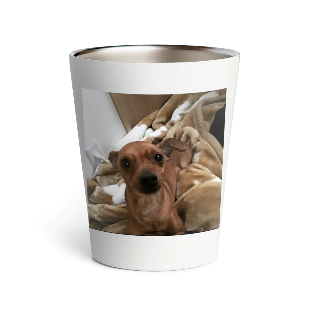 3371Mmmmの愛犬ラッキーくん Thermo Tumbler