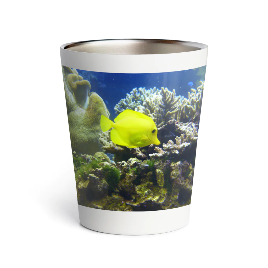 nokkccaのキイロハギ - Zebrasomaflavescens - Thermo Tumbler