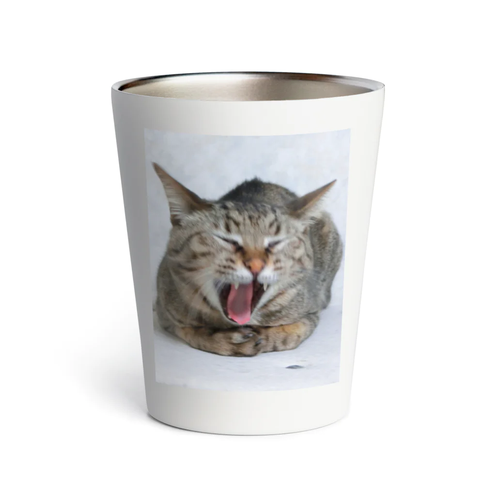 笑い猫堂SUZURI店の雉猫大欠伸 Thermo Tumbler