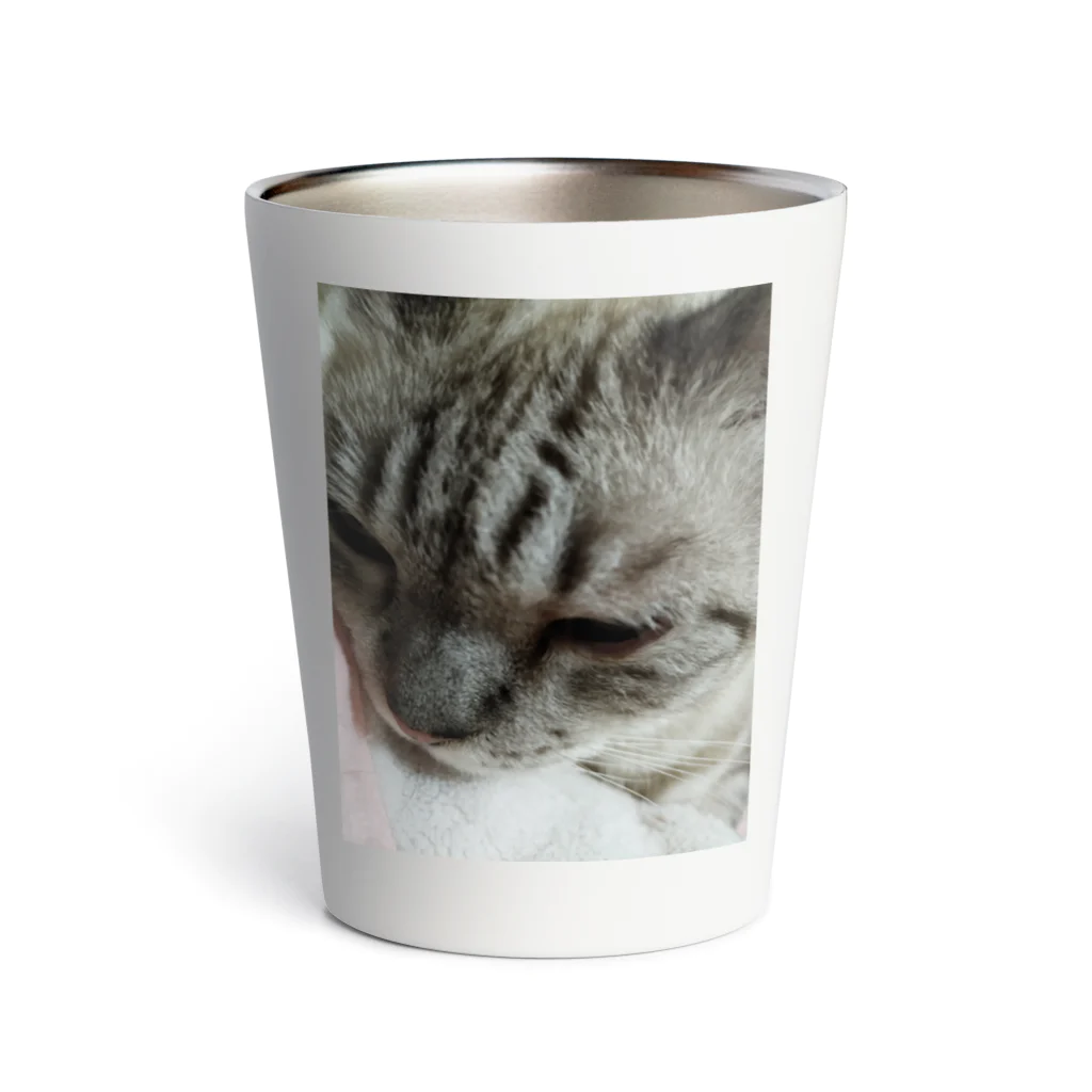 ねこの森でお散歩のドアップシャムミックス Thermo Tumbler