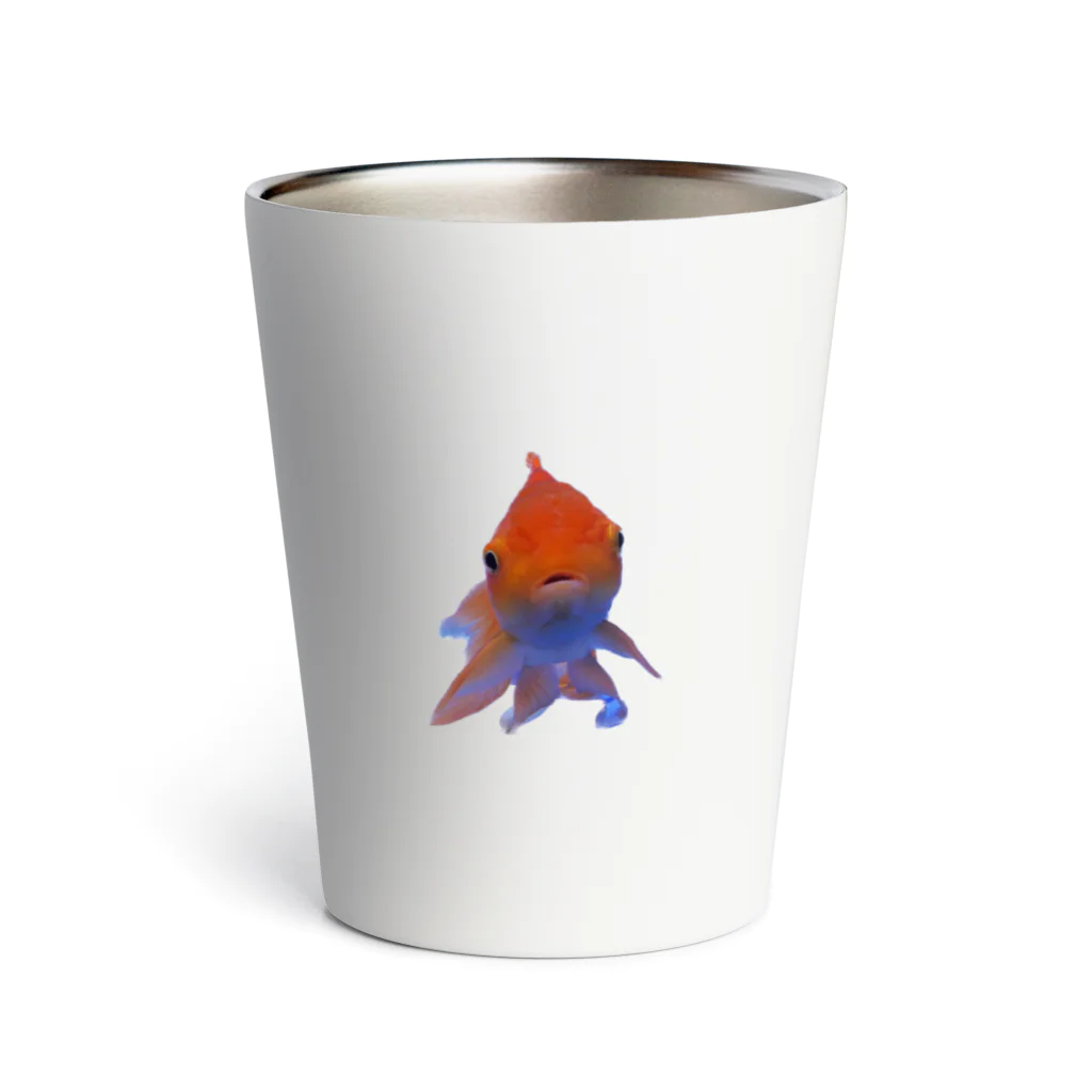 acobi'sのこっち見てる金魚 Thermo Tumbler