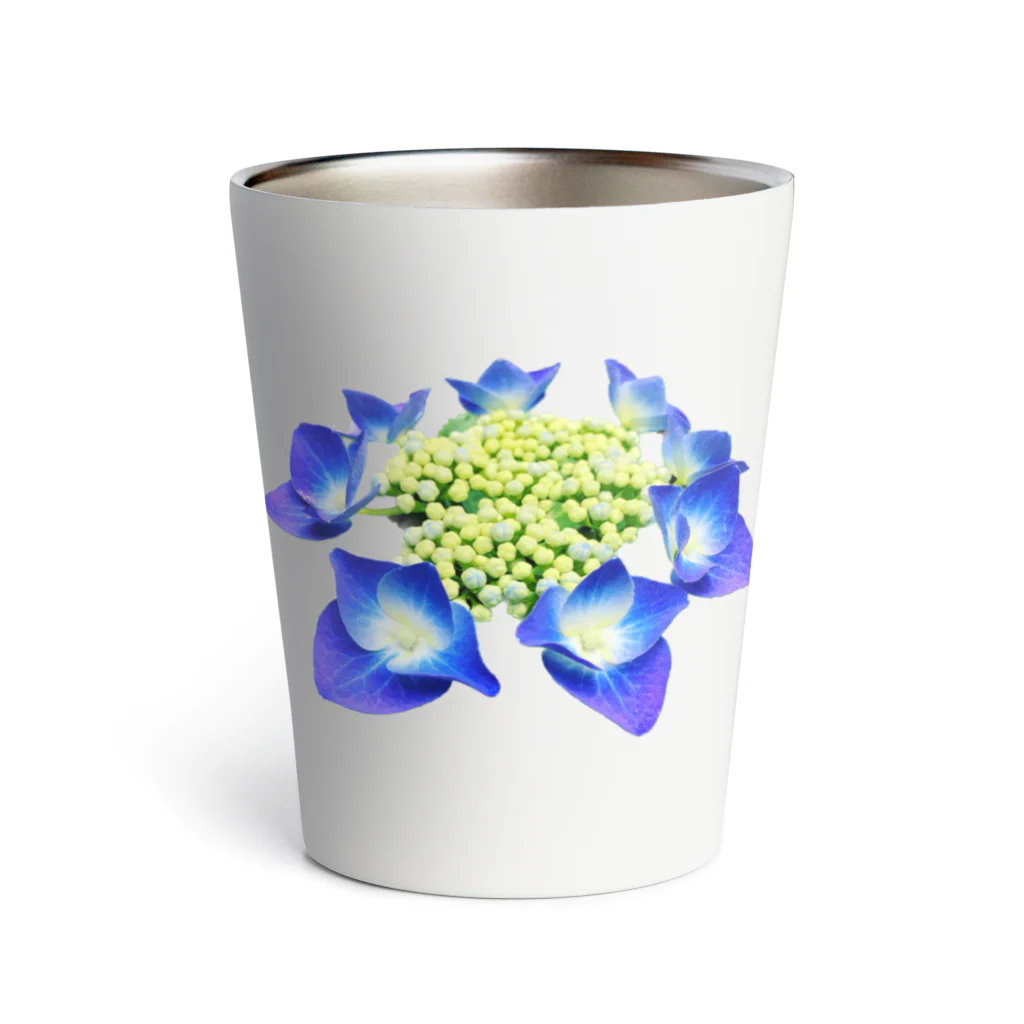 acobi'sの紫陽花 Thermo Tumbler