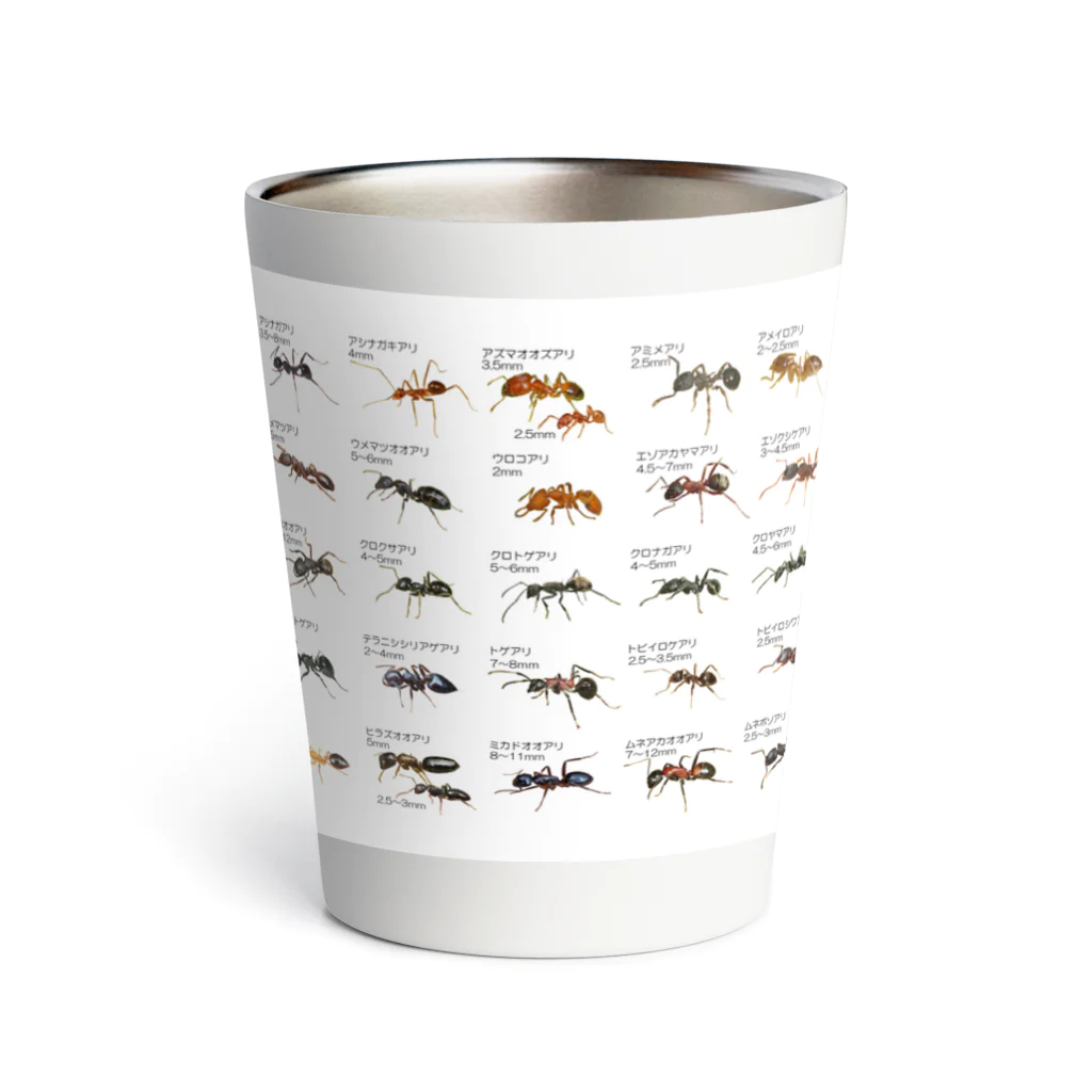 ANT☆Diaryの蟻図鑑C Thermo Tumbler