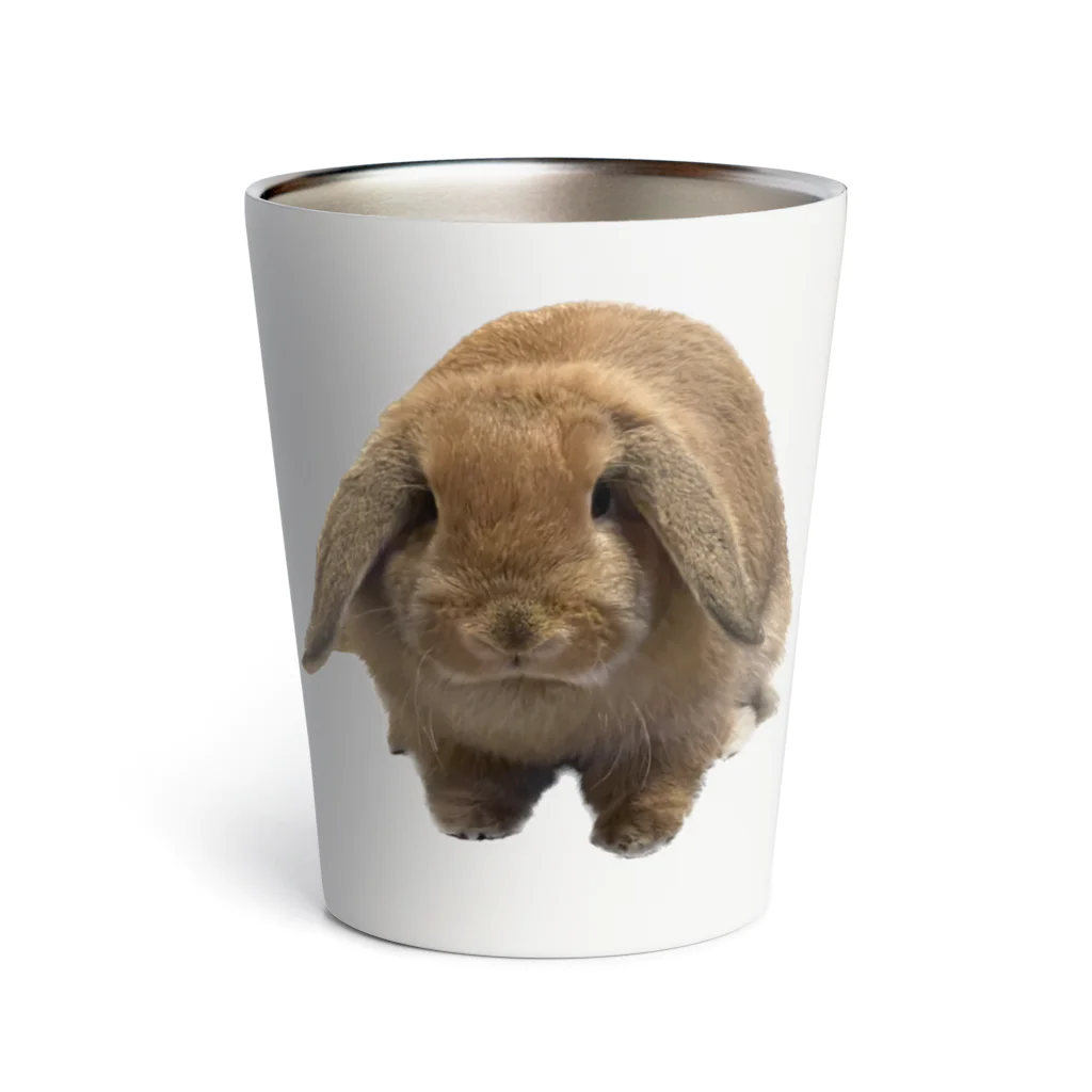 もふもふララちゃんのうさぎのもふもふララちゃん Thermo Tumbler