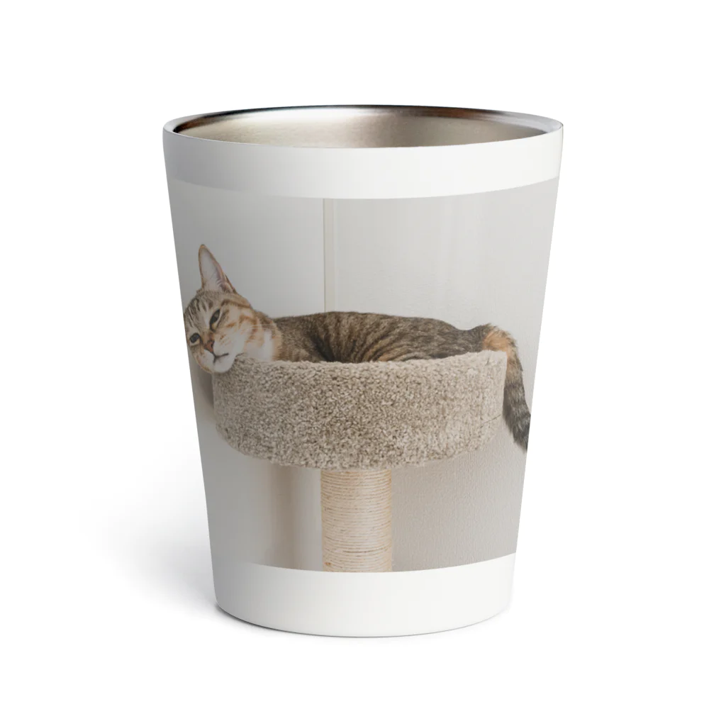 gaga_the_catのねむいガガ Thermo Tumbler