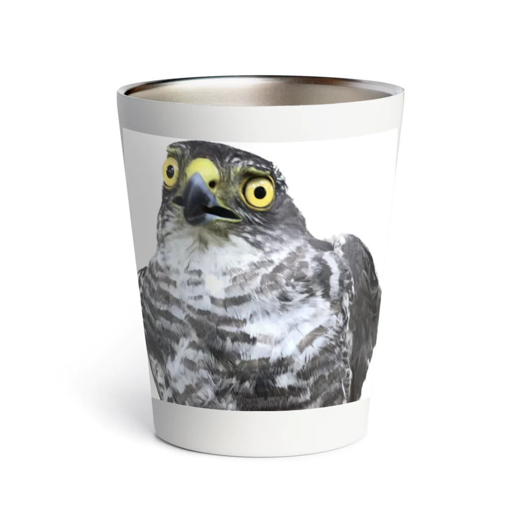 Little_Huge_Wild_Animalsのツミとぼけ Thermo Tumbler