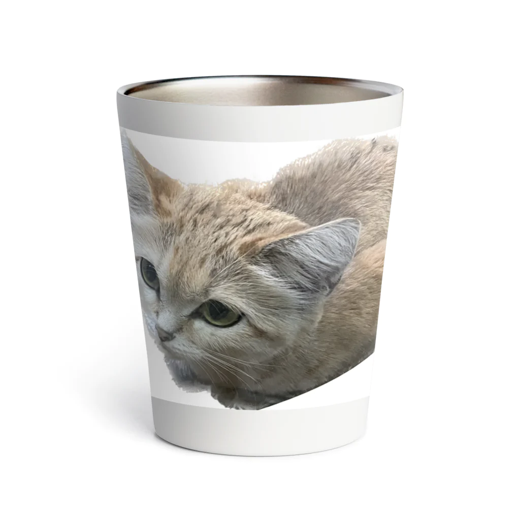 panchanphotoanimalsのスナネコアミーラタンブラー Thermo Tumbler