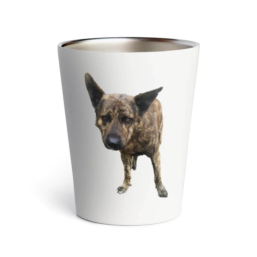 EYE CANDYの愛犬注意 Thermo Tumbler