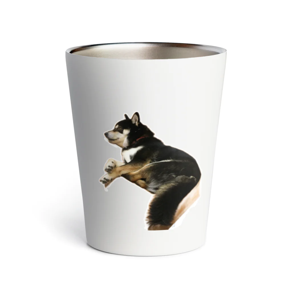 achahiの黒柴犬　ジョシーバ　癒し Thermo Tumbler