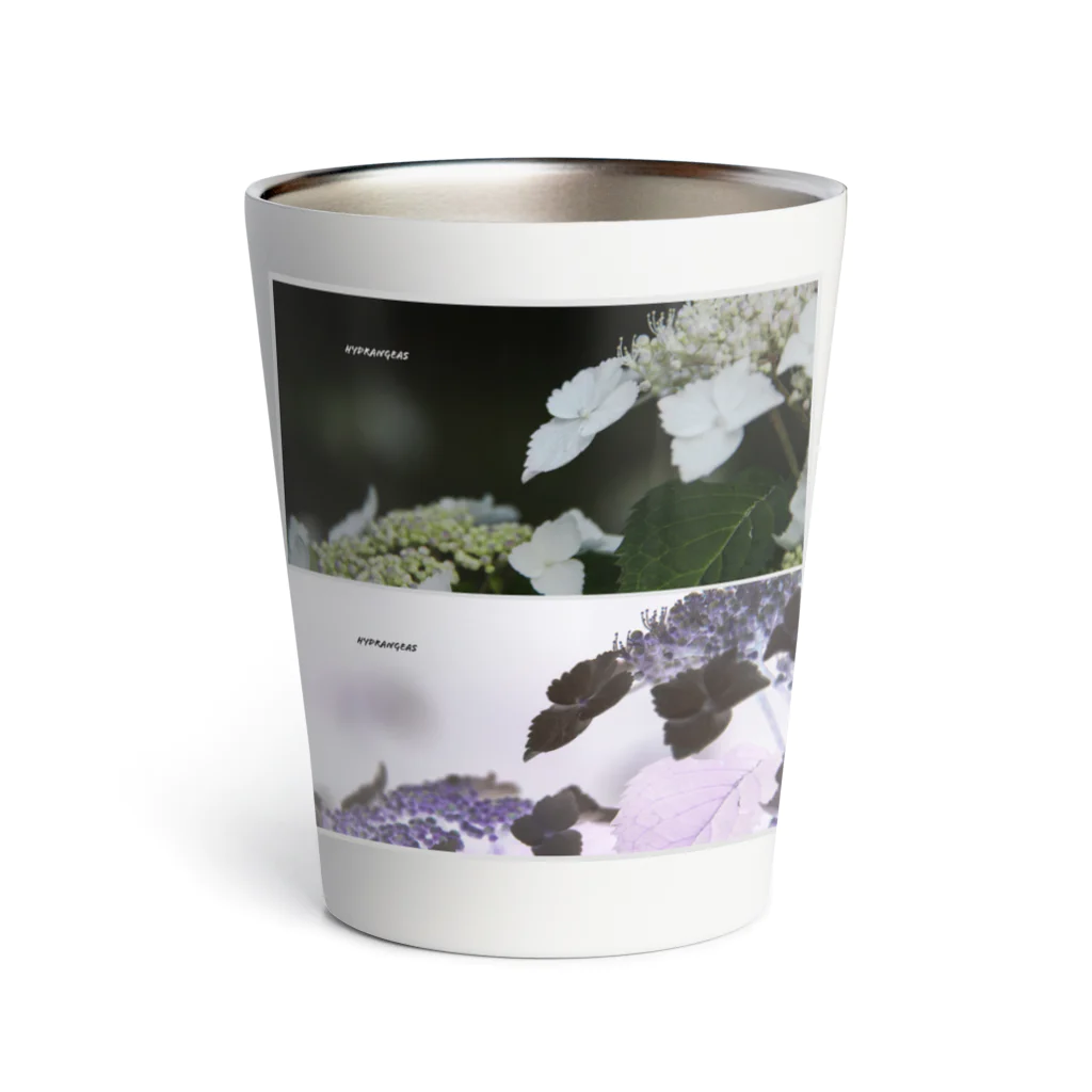 蛍石のhydrangeas Thermo Tumbler