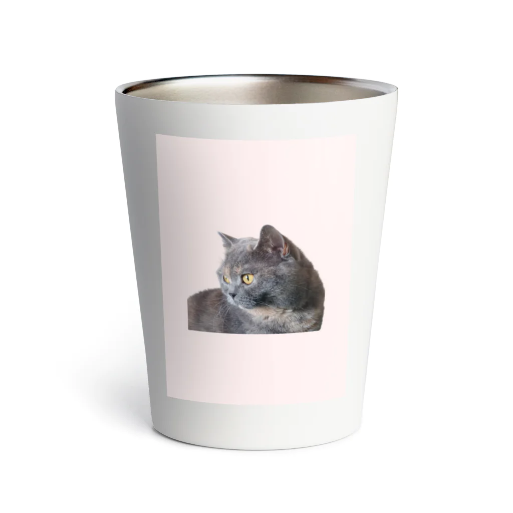 ままねこママンのお店のおすましチャコ Thermo Tumbler