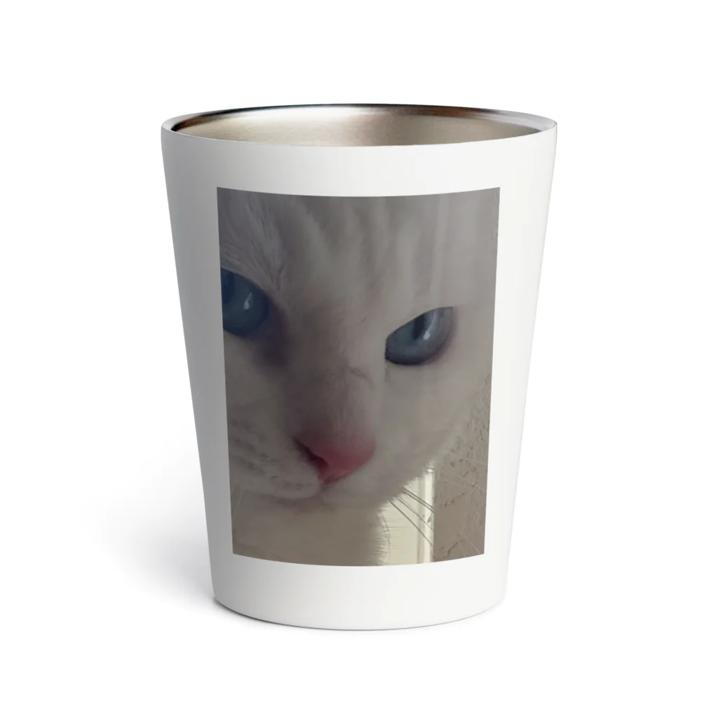 しろねこまるの白猫まる Thermo Tumbler