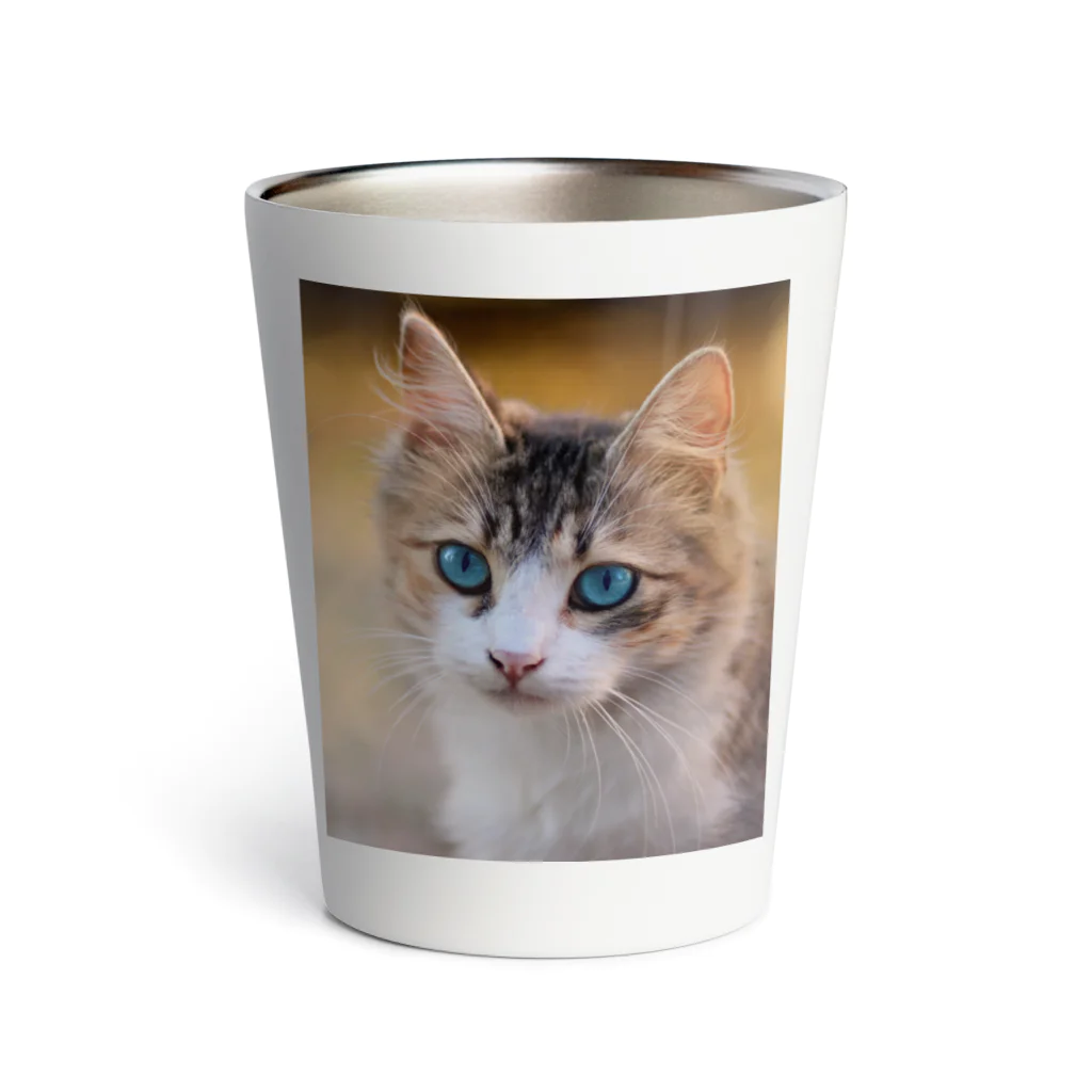 猫アートグッズのAdina Voicu 《Tabby cat with blue eyes》 Thermo Tumbler