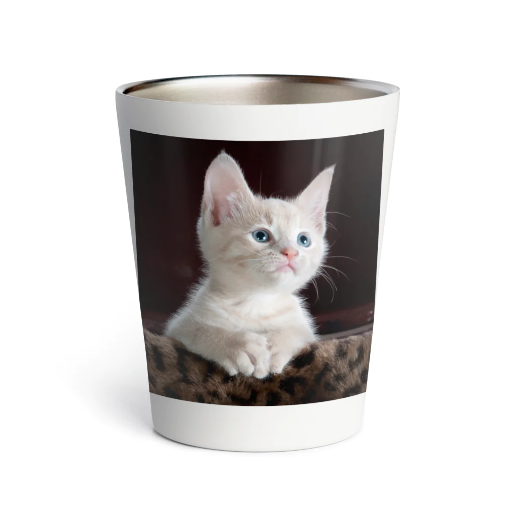 猫アートグッズのTy Swartz《A focused kitten》 Thermo Tumbler