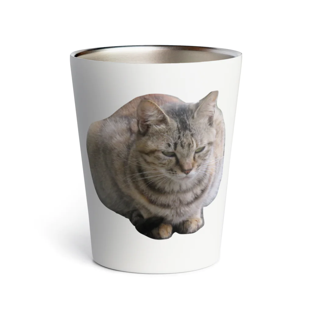 ミラくまの睨みを効かせた猫 Thermo Tumbler