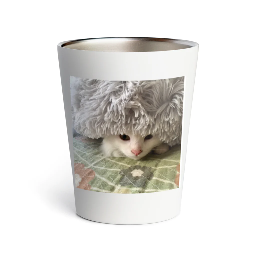 ねこノートのちらっと Thermo Tumbler