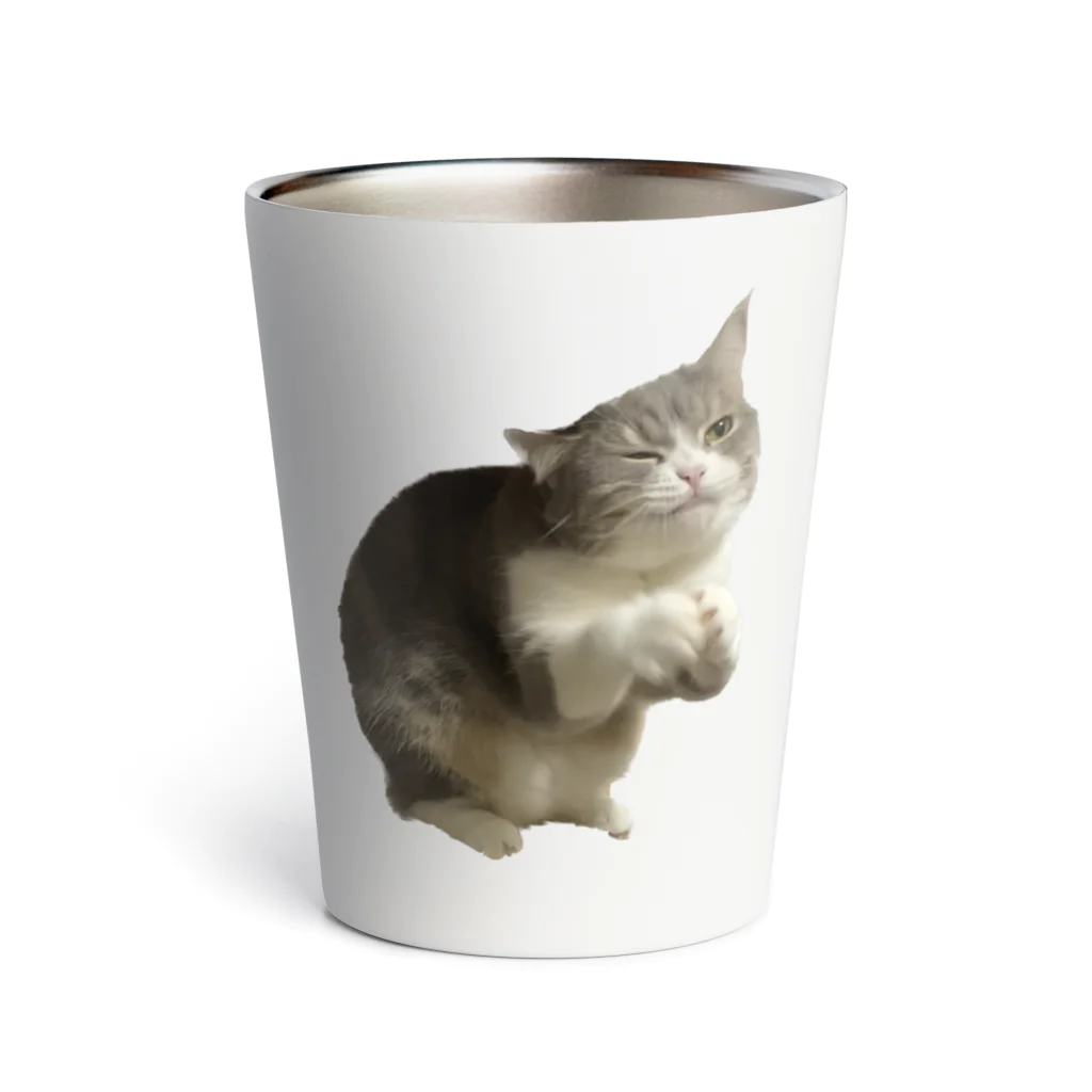 むっちり猫のむっちり丸のちょうだい！ミロ姫！ Thermo Tumbler