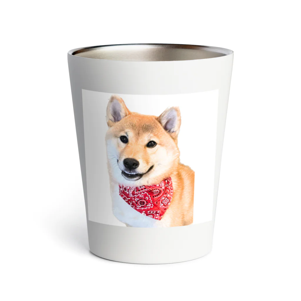 可愛いきつね柴の笑うきつね柴犬 Thermo Tumbler