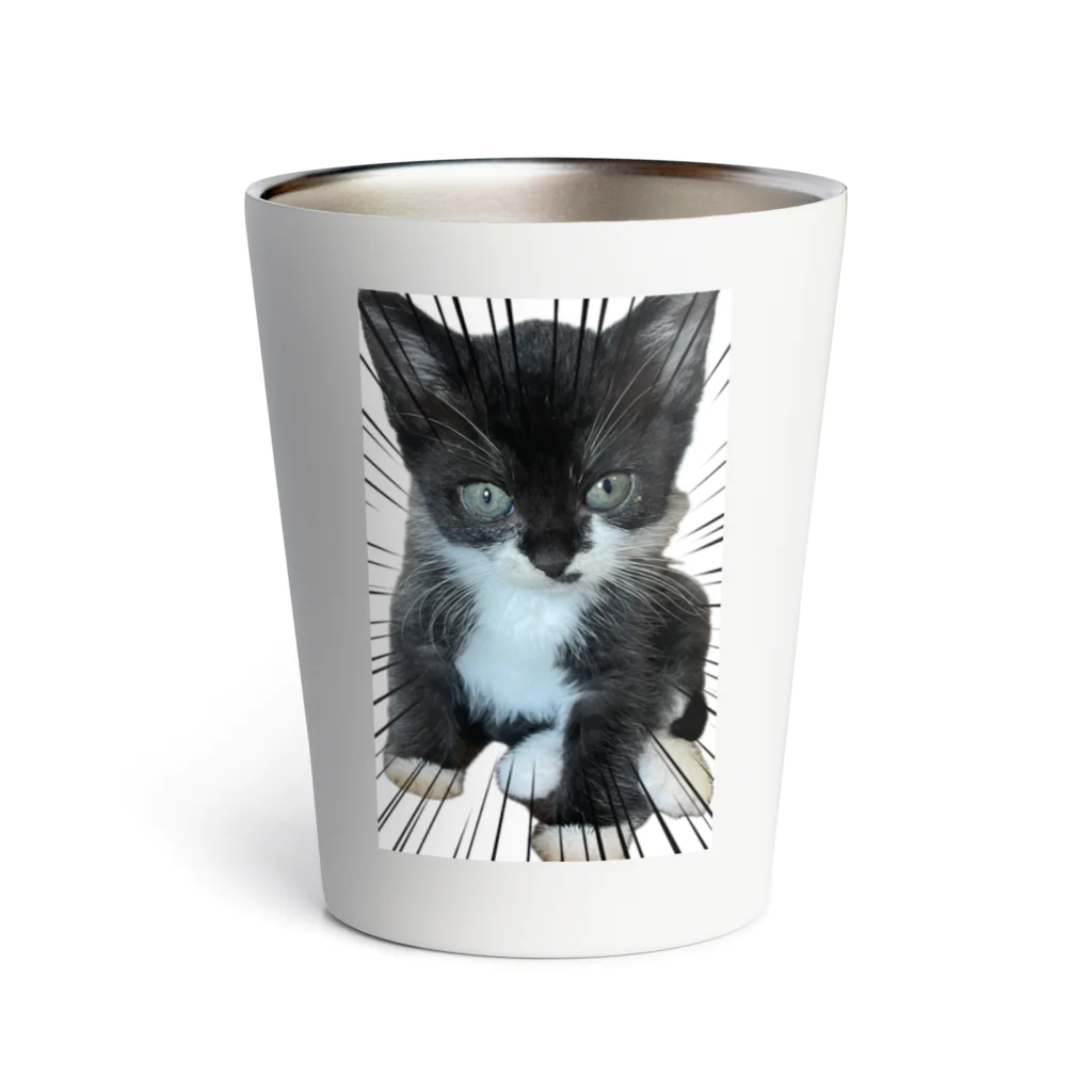 猫のひとりごとのハチワレてない末っ子くつした猫 Thermo Tumbler