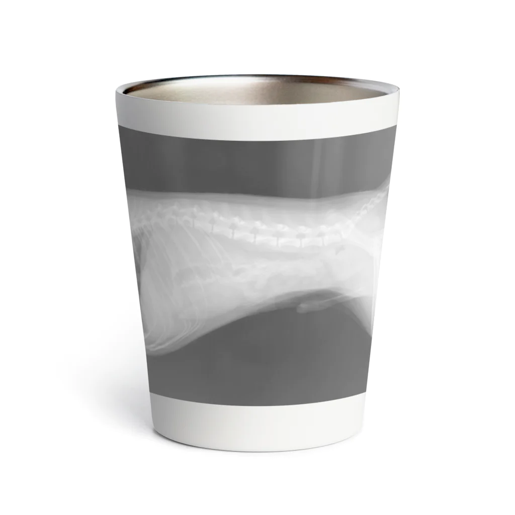 nireのいぬのレントゲン Thermo Tumbler