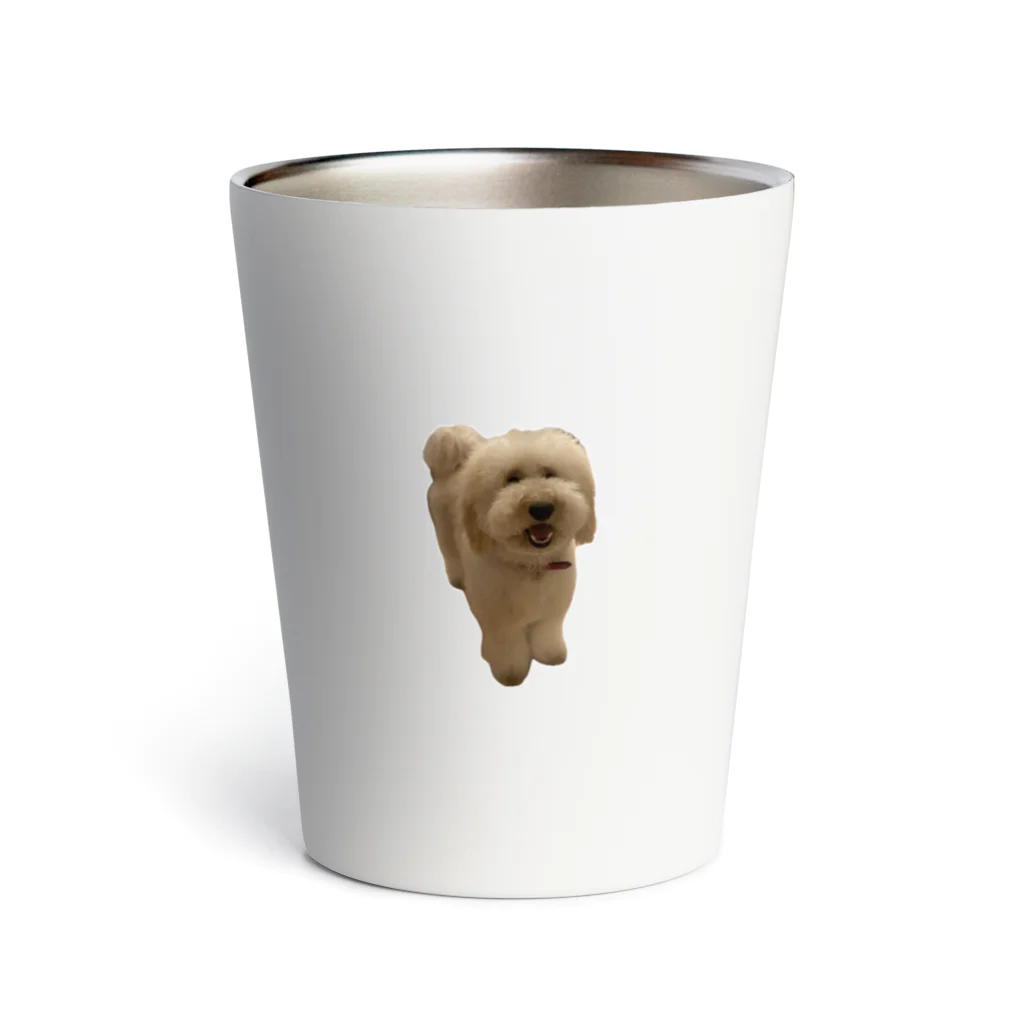 モフモフ犬のトゥトゥのトゥトゥ1 Thermo Tumbler