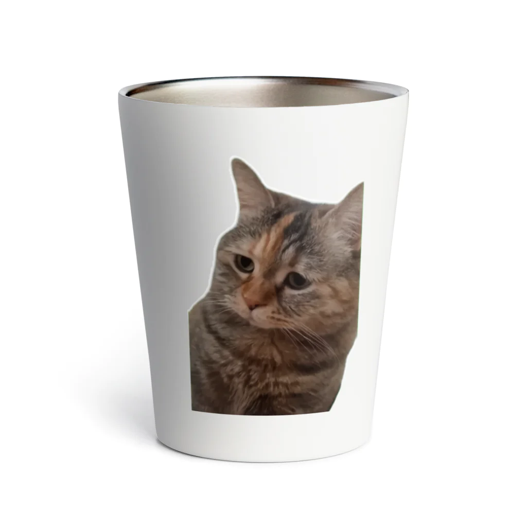 猫ミームグッズの【猫ミーム】叱られる猫 Thermo Tumbler