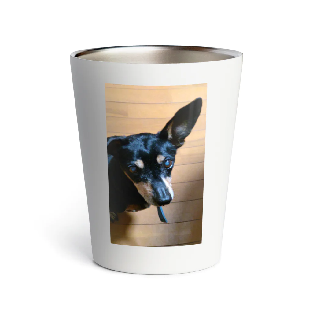 watama33の左耳立犬 Thermo Tumbler